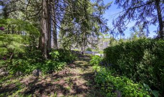 91589 DEARBORN ISLAND Rd, Blue River, OR 97413