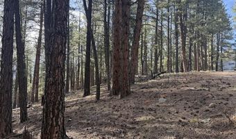 217 Pine Top Dr, Bayfield, CO 81137