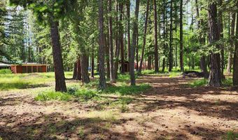 12430 Rippling Waters Rd, Bigfork, MT 59911