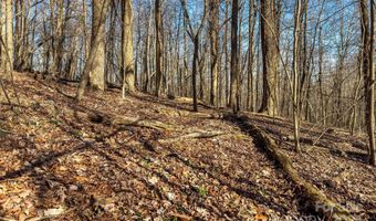 Lot 5 Deer Run Road, Black Mountain, NC 28711