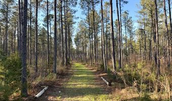 Highway 28, Abbeville, SC 29620