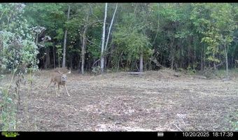 Putnam Road, Belzoni, MS 39038