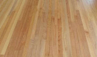 302 Baskin Ave, Bishopville, SC 29010