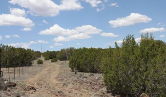 N8190, Concho, AZ 85924