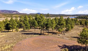 N2147, Alpine, AZ 85920