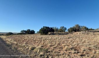 269 Windmill Rd, Carrizozo, NM 88301
