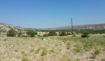 County Road 163, Abiquiu, NM 87510