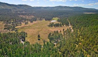 1 A FOREST ROAD 26, Alpine, AZ 85920