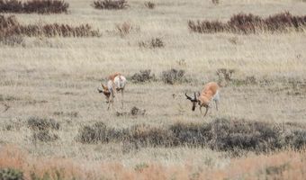 TRACT 9 E BEAVER RIDGE Road, Daniel, WY 83115