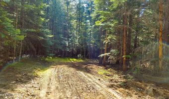 NKA Wandering Wolf Ridge Lot 3, Clark Fork, ID 83811