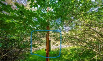 9 Valley Oak Dr, Ahwahnee, CA 93601