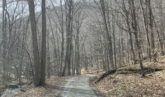 0 TBD Elleber Sods Rd, Bartow, WV 24920