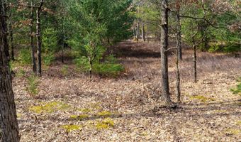 Dover Drive lot 2 +/-43 Ac, Adams, WI 53910