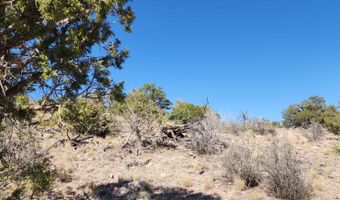 Lot 1 Big View, Ash Fork, AZ 86320