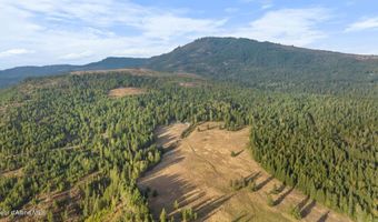 4575 Blacktail Rd, Careywood, ID 83809