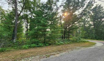 Lot 98 Wilderness, Alger, MI 48610