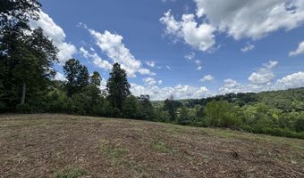 626 Sportsman Ln, Andersonville, TN 37705