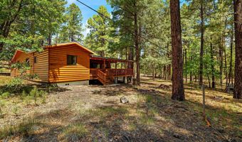 20 County Rd N2120, Alpine, AZ 85920