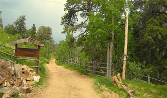 429 Road P-53 Rd, Bailey, CO 80421