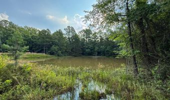 Old Moyers Road, Antlers, OK 74523