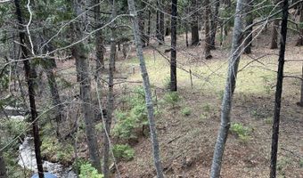 1968 Flamingo Way, Arnold, CA 95223