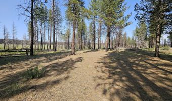 Parazoo Trail Lot 2 Block 8, Bly, OR 97622