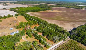 4506 10th St, Bell, FL 32619