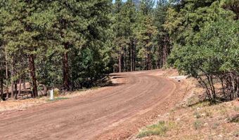 79 Spruce Way, Bayfield, CO 81122