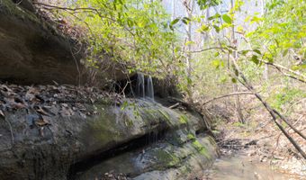 Soapstone Road, Baldwin, GA 30511