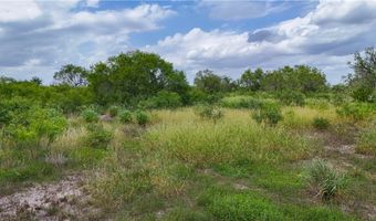 1297 County Road 336, Alice, TX 78332