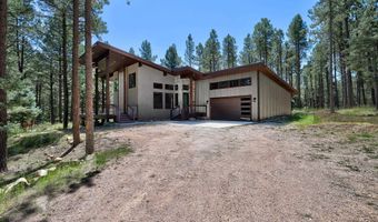 39 San Andres Dr, Angel Fire, NM 87710