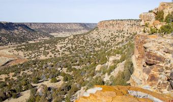 000 County Road 40.2 Poitry Canyon Ranch, Branson, CO 81027