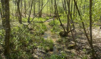Steve Brown Road, Bean Station, TN 37708