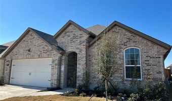 317 Tartane Dr, Anna, TX 75409