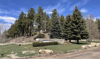 249 Timber Dr, Bayfield, CO 81122