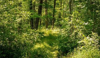 Tbd 359th Ln, Aitkin, MN 55760