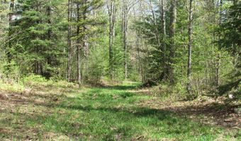 TBD US 141 Lukes Road, Amasa, MI 49903