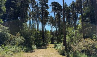 87219 BEACH Ln, Bandon, OR 97411