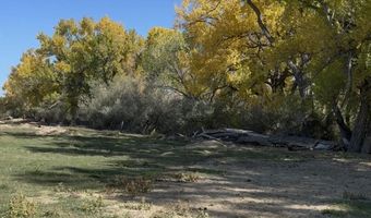 Xx ROAD 4599, Blanco, NM 87412