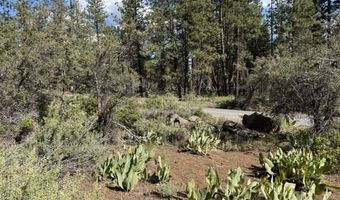 Thunder Bear Road, Bonanza, OR 97623