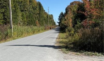 Beaver Trail lot # 1, Alder Creek, NY 13301