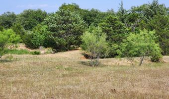 County Road 1270, Alvord, TX 76225