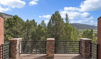 306 Wild Spring Ln, Basalt, CO 81621