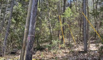 5-16 19 Boulder Dr, Campton, NH 03223