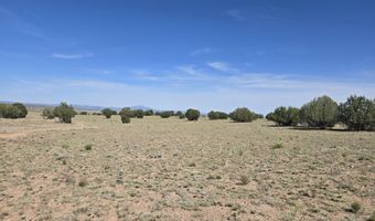 256 D Old Antelope Run Rd, Ash Fork, AZ 86320