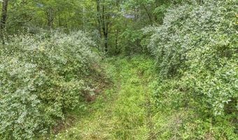 16749 Mush Run Rd, Athens, OH 45701