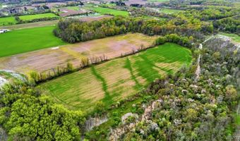 Beaver Road, Alexander, NY 14005
