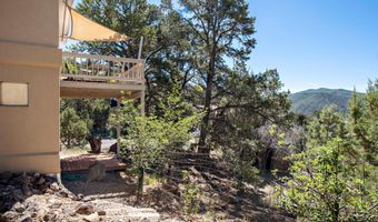 472 Original Rd, Basalt, CO 81621