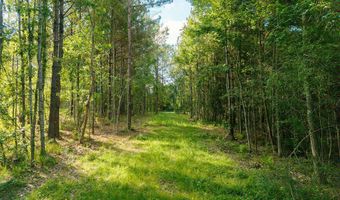 Trickhambridge Road lot 7, Brandon, MS 39042