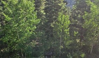 1407 Clarke Mountain Ln, Antonito, CO 81120